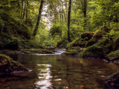 IMGP4820_2